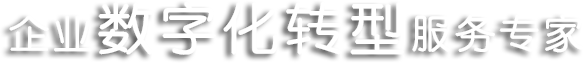 企業數字化轉型服務專家